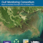 Gulf Monitoring Consortium Issues 6-Month Report